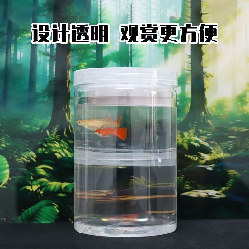 【孵鱼盒推荐！】新手养鱼必备！超实用孵鱼盒！