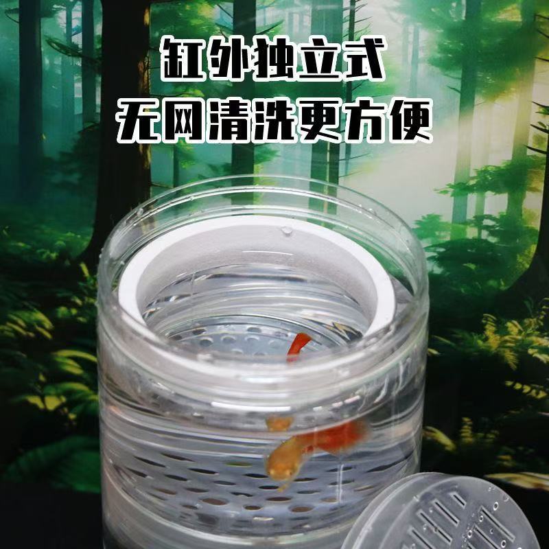 【孵鱼盒推荐！】新手养鱼必备！超实用孵鱼盒！
