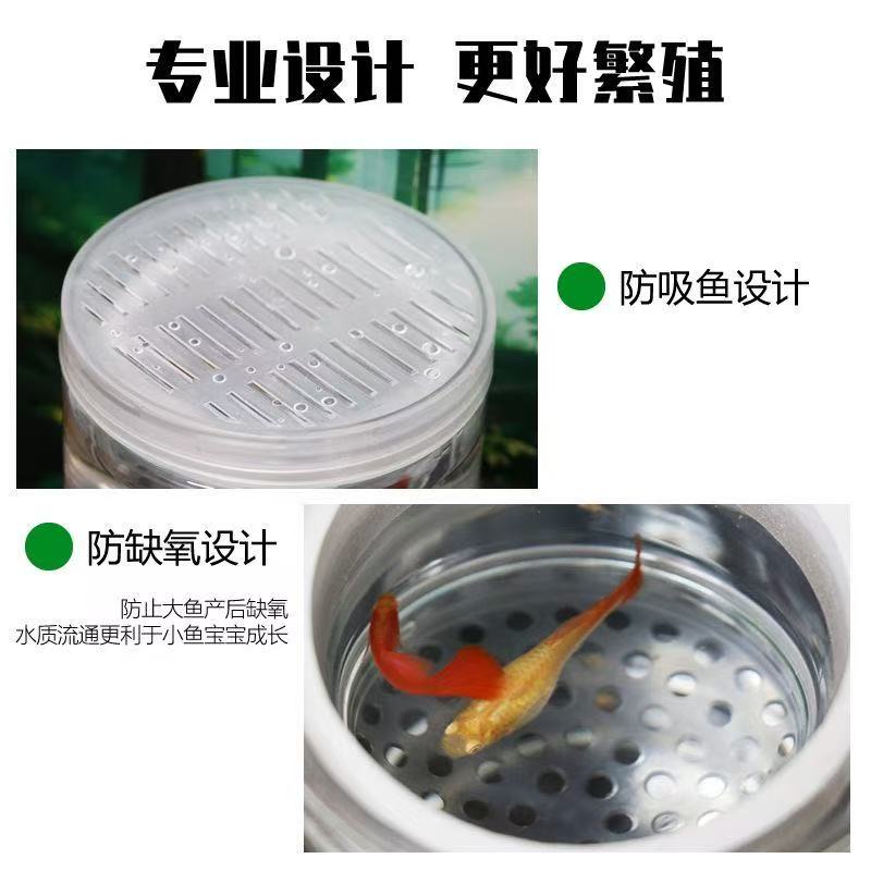 【孵鱼盒推荐！】新手养鱼必备！超实用孵鱼盒！
