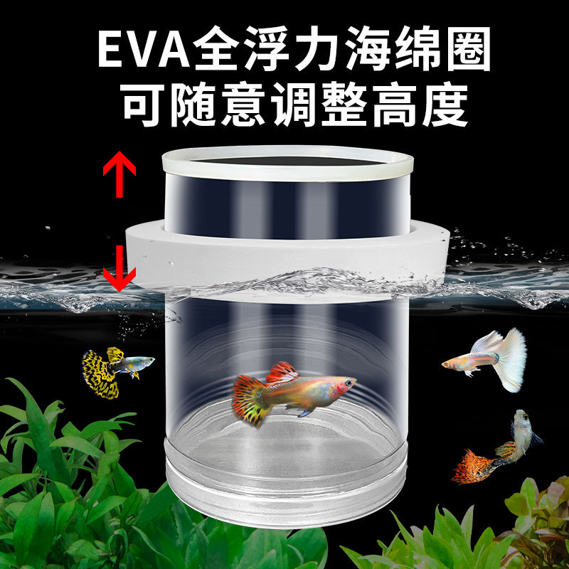 【高清的隔离神器！】母鱼分离防啃食幼鱼！