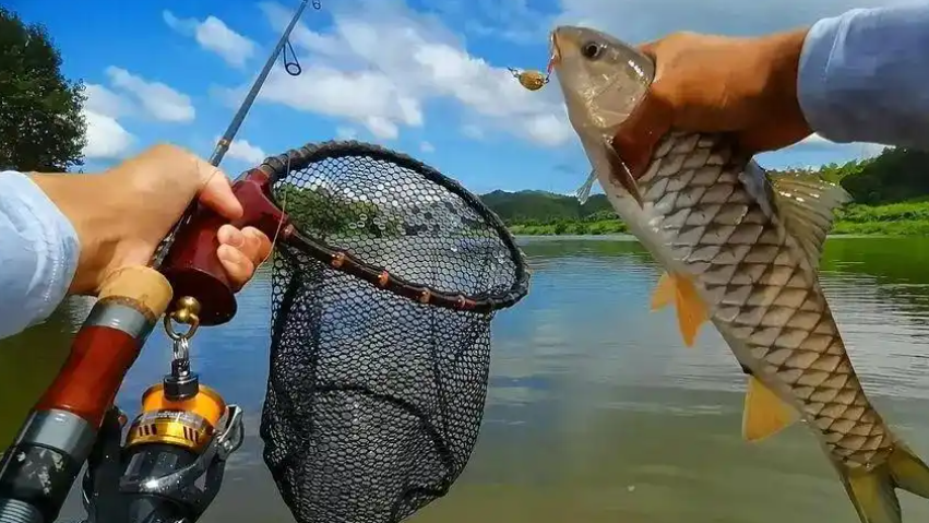 路亚钓鱼总是空军？学会7个手法和4个细节，让你路亚不再打龟！