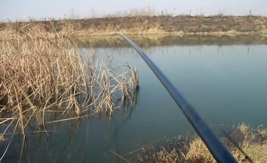 钓鱼要会看时机，4个时段鱼狂口，连竿几率翻倍