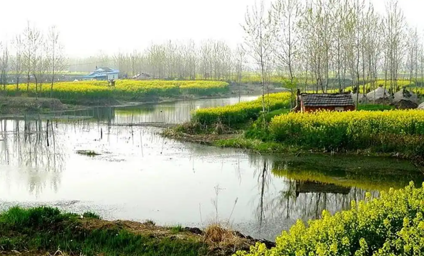 钓鱼要会看时机，4个时段鱼狂口，连竿几率翻倍