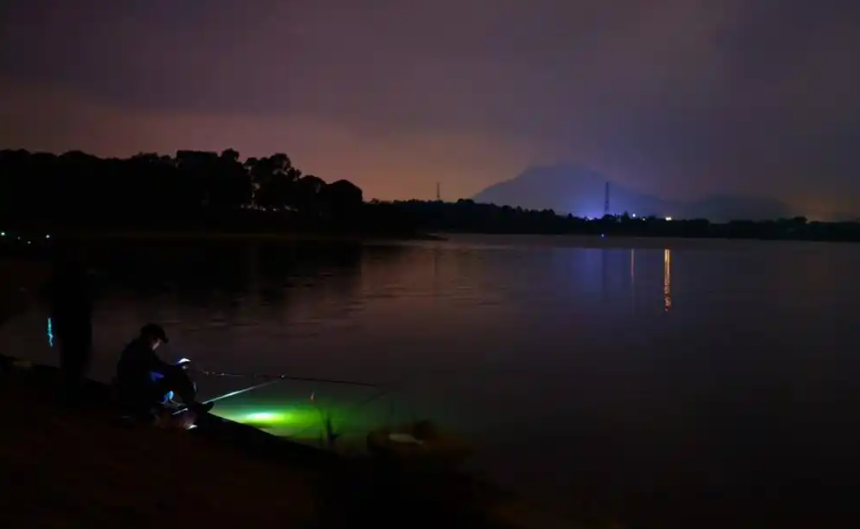 钓鱼要会看时机，4个时段鱼狂口，连竿几率翻倍